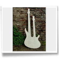 Dual Neck Bass Guitar M2