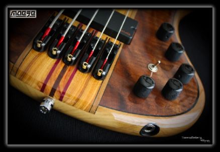 Maese Luthier