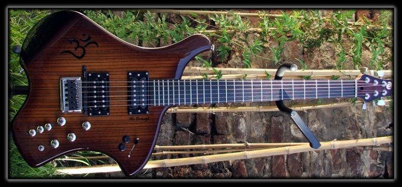 Guitarra Ale Demogli - Maese